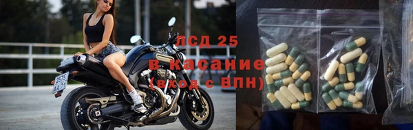 мет Алексин