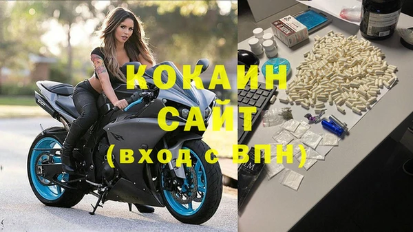 мет Алексин