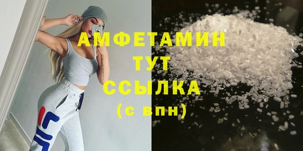 мет Алексин
