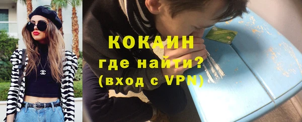 мет Алексин